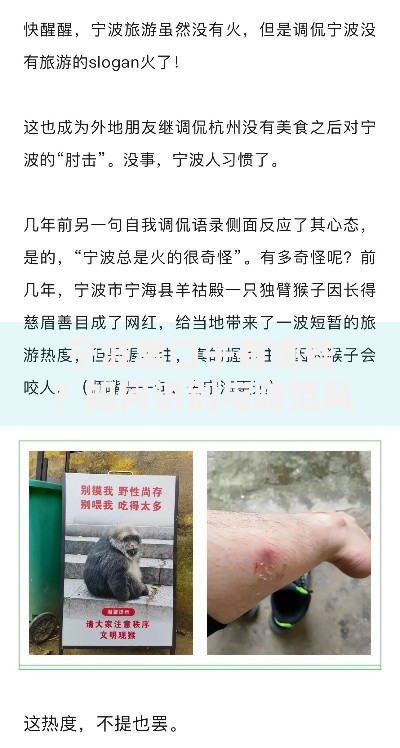 宁波黑口子有哪些？如何识别与防范风险指南