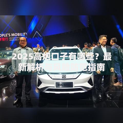 2025高炮口子有哪些？最新解析与风险防范指南