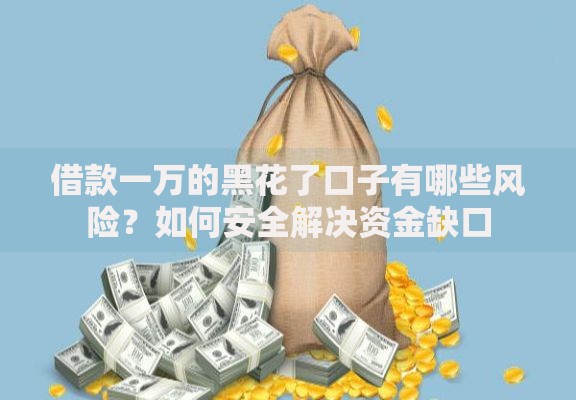 借款一万的黑花了口子有哪些风险？如何安全解决资金缺口