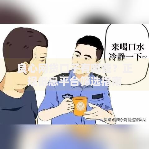 良心网贷口子有哪些？正规低息平台筛选指南