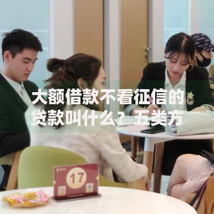 大额借款不看征信的贷款叫什么？五类方案解析