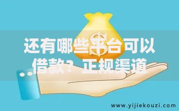 还有哪些平台可以借款？正规渠道解析与推荐