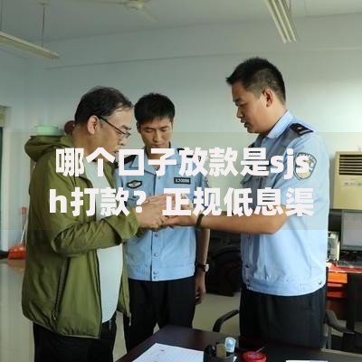 哪个口子放款是sjsh打款？正规低息渠道深度解析