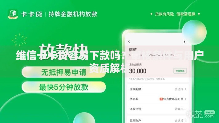 维信卡卡贷容易下款吗？审核条件与用户资质解析