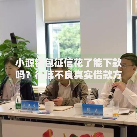 小源钱包征信花了能下款吗?征信不良真实借款方案解析 小源钱包征信花了能下款吗?征信不良真实借款方案解析
