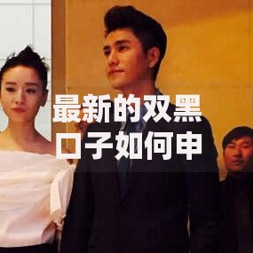 最新的双黑口子如何申请？低门槛渠道解析