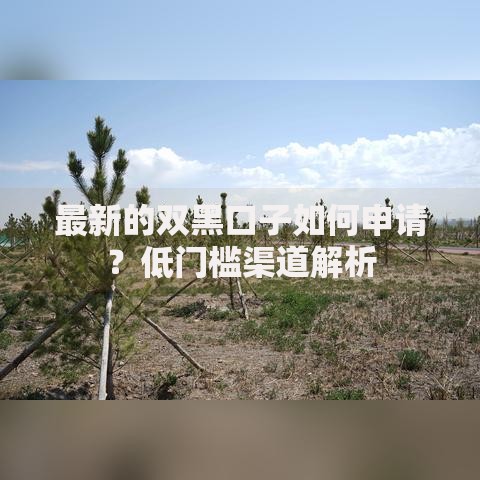 最新的双黑口子如何申请？低门槛渠道解析