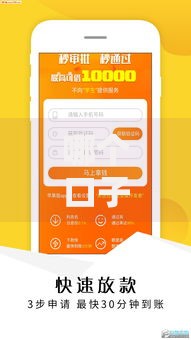 哪个口子贷款期限长？全网长期贷款产品深度解析