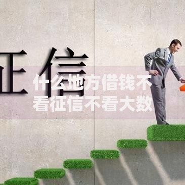 什么地方借钱不看征信不看大数据？深度解析合法渠道与风险提示