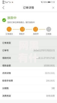 网黑有什么下款的口子？深度解析征信不良借贷渠道