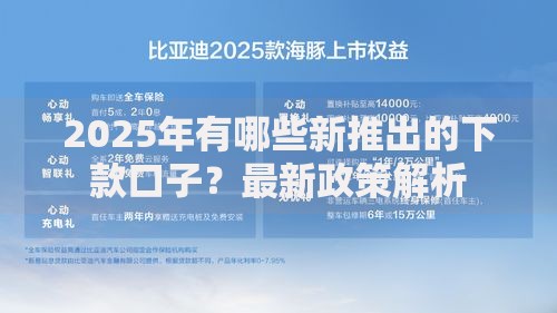 2025年有哪些新推出的下款口子？最新政策解析