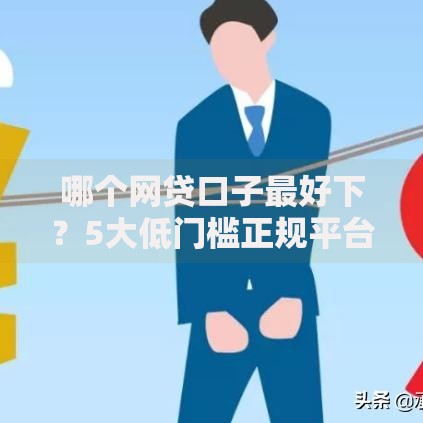 哪个网贷口子最好下？5大低门槛正规平台深度评测