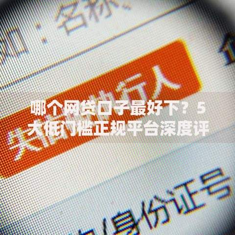 哪个网贷口子最好下？5大低门槛正规平台深度评测