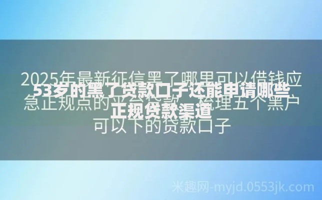 53岁的黑了贷款口子还能申请哪些正规贷款渠道