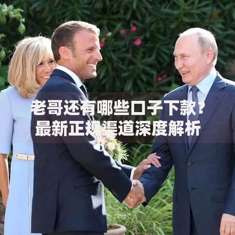 老哥还有哪些口子下款？最新正规渠道深度解析