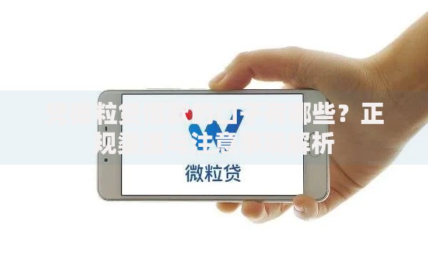 征信花了也能借的口子有哪些？低门槛贷款渠道解析