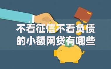 征信花了也能借的口子有哪些？低门槛贷款渠道解析
