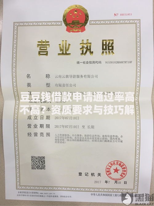 豆豆钱借款申请通过率高不高？资质要求与技巧解析