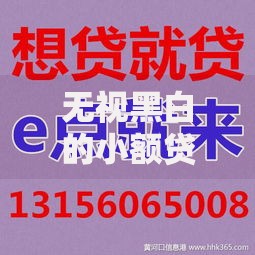 无视黑白的小额贷款：如何安全获取资金支持？
