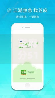 芝麻分510哪些平台支持快速借款？低分贷款渠道及申请技巧解析