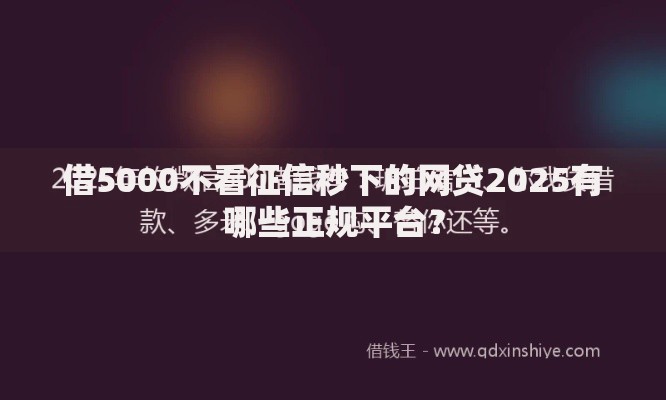 借5000不看征信秒下的网贷2025有哪些正规平台？