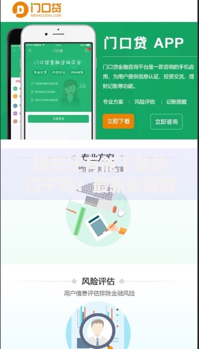 现在还有能下款的口子吗？最新渠道解析与风险评估