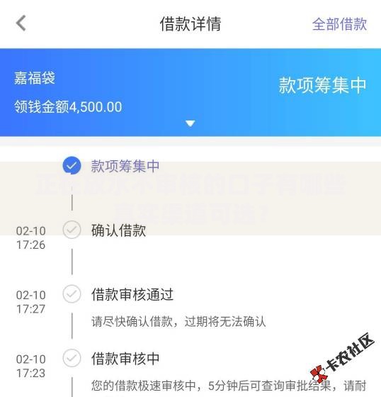 正在放水不审核的口子有哪些真实渠道可选？