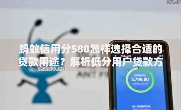 蚂蚁信用分580怎样选择合适的贷款用途？解析低分用户贷款方案