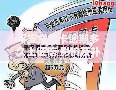 平安贷贷卡逾期多久上征信 影响及补救措施全解析