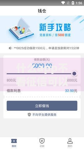什么app不看征信可以借款小额额度？精选平台推荐