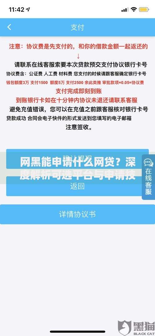 网黑能申请什么网贷？深度解析可选平台与申请技巧