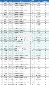 网黑能申请什么网贷？深度解析可选平台与申请技巧