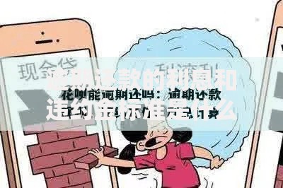 逾期还款的利息和违约金标准是什么？计算规则与法律依据解析