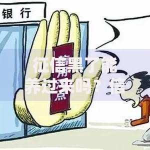 征信黑了能养过来吗？信用修复全流程实操指南