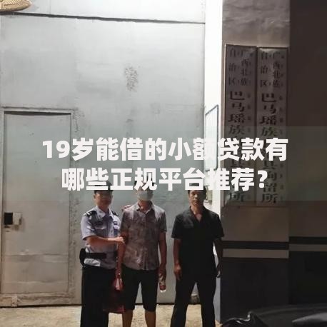 19岁能借的小额贷款有哪些正规平台推荐？