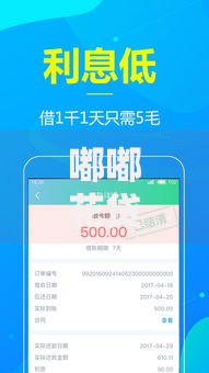 嘟嘟花贷款口子推出便捷金融服务如何满足多元需求？