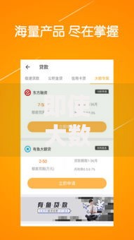 即使大数据花了如何成功申请贷款？5大策略助你解决难题