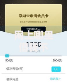 网上哪里借钱不看征信？低门槛借款渠道解析