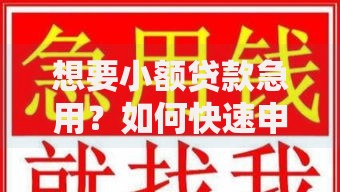 想要小额贷款急用？如何快速申请安全低息贷款