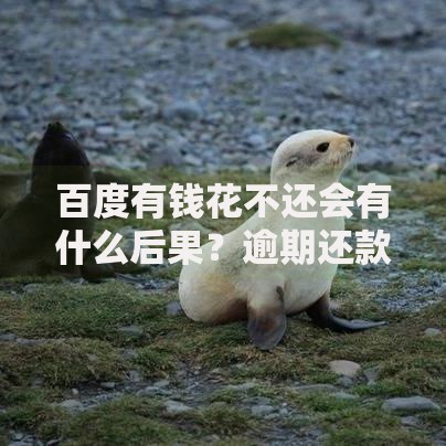 百度有钱花不还会有什么后果？逾期还款必知风险与应对策略