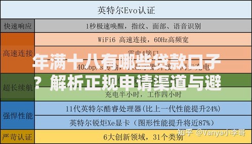 年满十八有哪些贷款口子？解析正规申请渠道与避坑指南