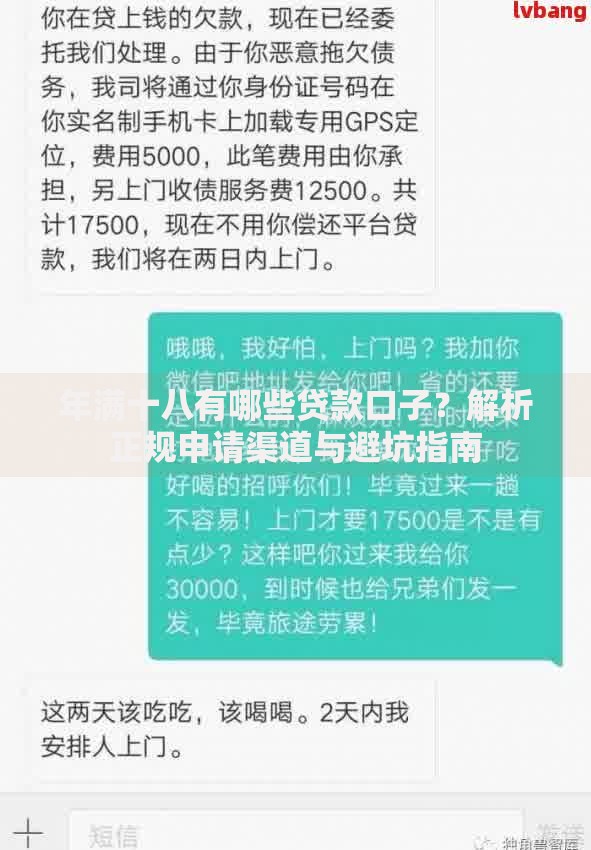 年满十八有哪些贷款口子？解析正规申请渠道与避坑指南