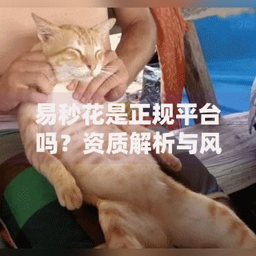 易秒花是正规平台吗?资质解析与风险测评指南 易秒花是正规平台吗?资质解析与风险测评指南