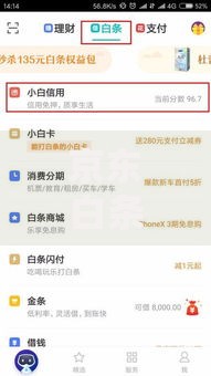 京东白条提额口子在哪里?五大核心方法深度解析 京东白条提额口子在哪里?五大核心方法深度解析