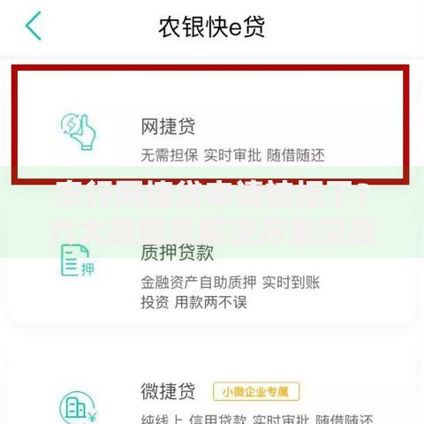 农行网捷贷申请被拒了？六大原因及解决方案深度解析