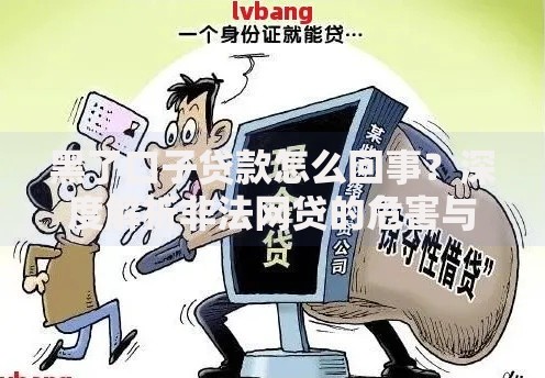 黑了口子贷款怎么回事？深度解析非法网贷的危害与防范