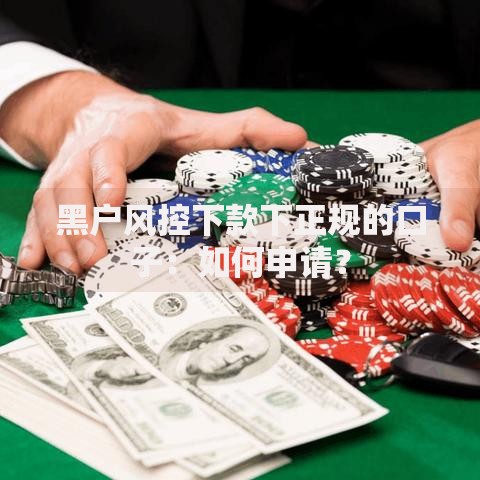 黑户风控下款下正规的口子：如何申请？