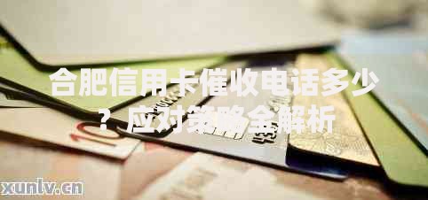 合肥信用卡催收电话多少？应对策略全解析