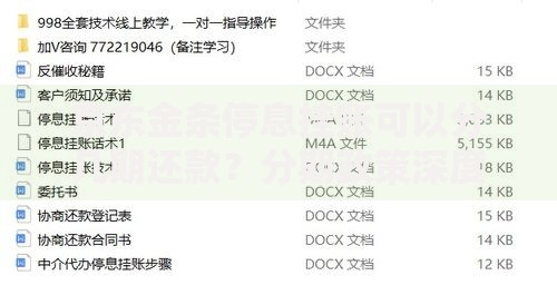 京东金条停息挂账可以分几期还款？分期政策深度解析