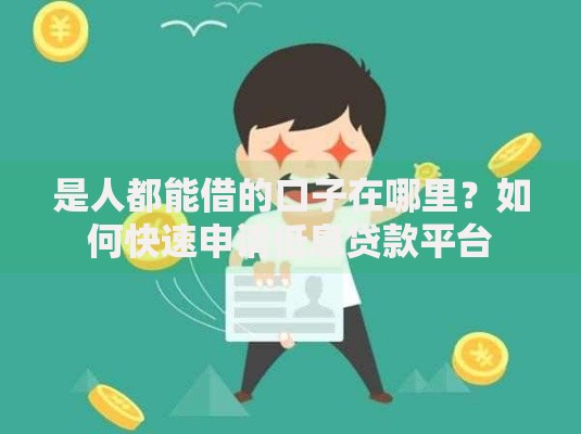 是人都能借的口子在哪里？如何快速申请低息贷款平台
